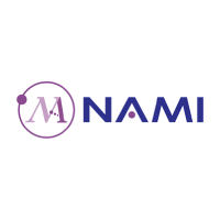 Nano and Advanced Materials Institute Limited